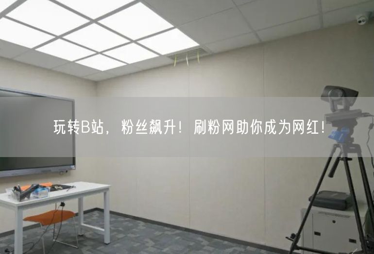 玩转B站，粉丝飙升！刷粉网助你成为网红！