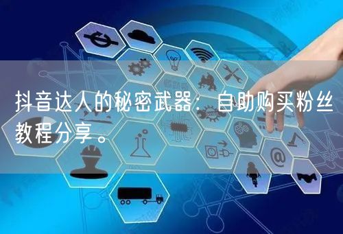 抖音达人的秘密武器：自助购买粉丝教程分享。