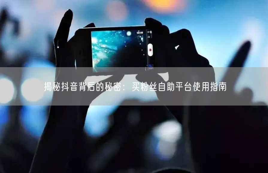 揭秘抖音背后的秘密：买粉丝自助平台使用指南
